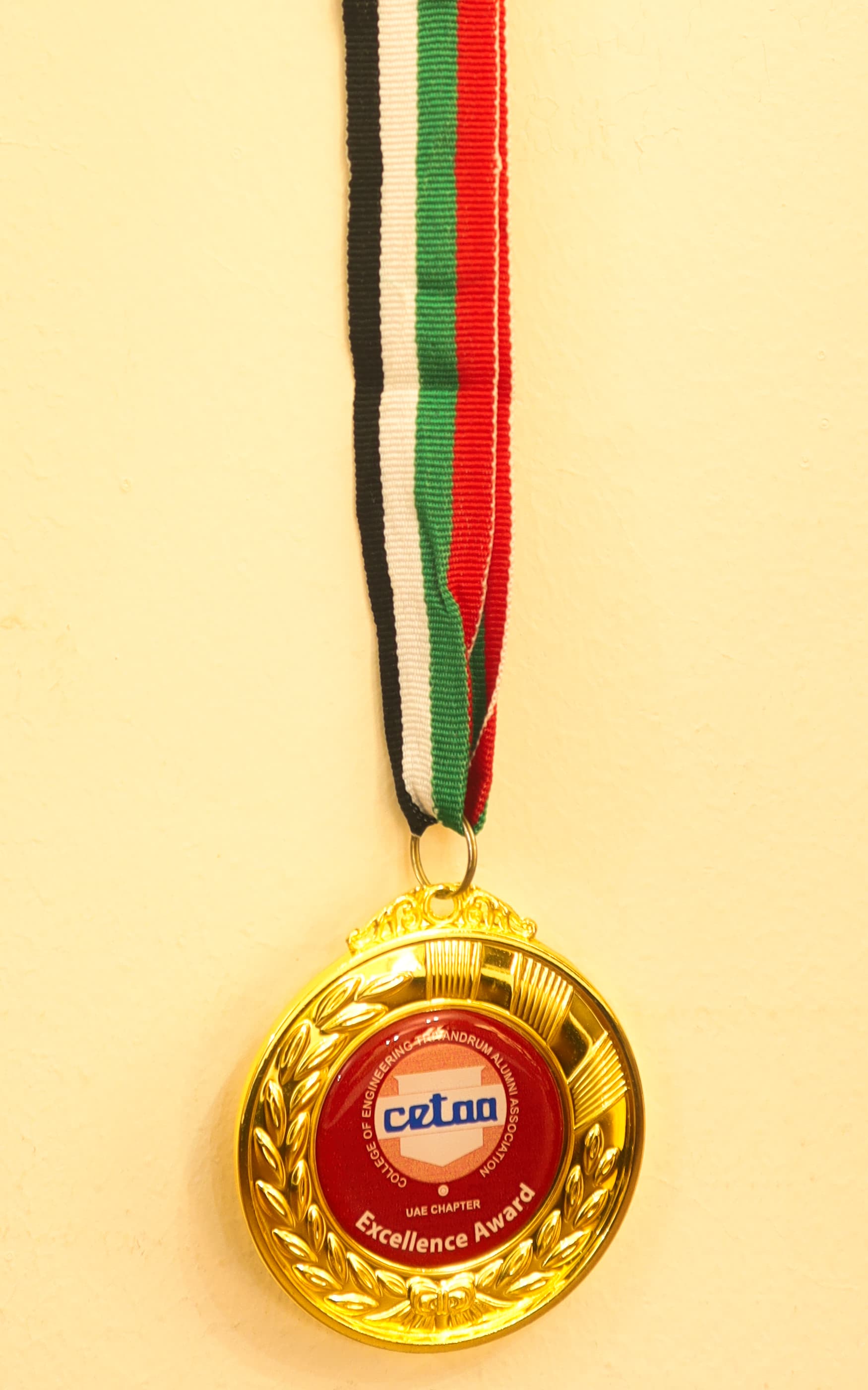 CETAA Excellence Award